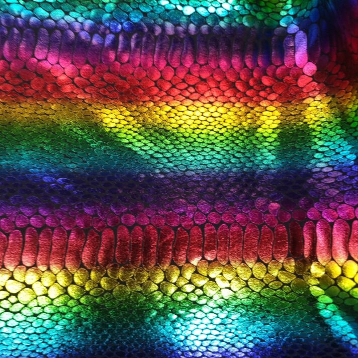 Rainbow Snakeskin Spandex