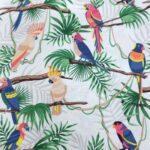 Parrots
