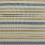 Blue stripe