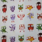 Owls