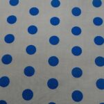 WHITE BACKGROUND ROYAL SPOT