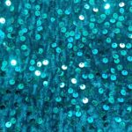 EMB SEQUIN TEAL ON TEAL VELVET