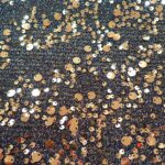 GOLD ON BLACK LUREX JERSEY 137CMS