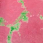 PINK BACKGROUND WITH COLOURFUL SPLASHES