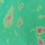 TURQUOISE BACKGROUND WITH COLOURFUL SPLASHES